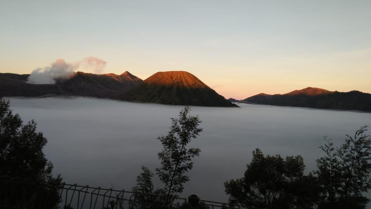 Cemara Indah Hotel Bromo Zewnętrze zdjęcie