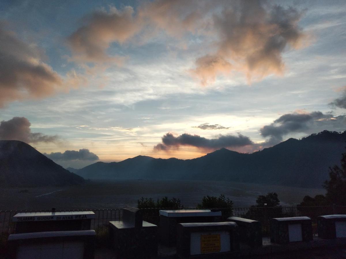 Cemara Indah Hotel Bromo Zewnętrze zdjęcie