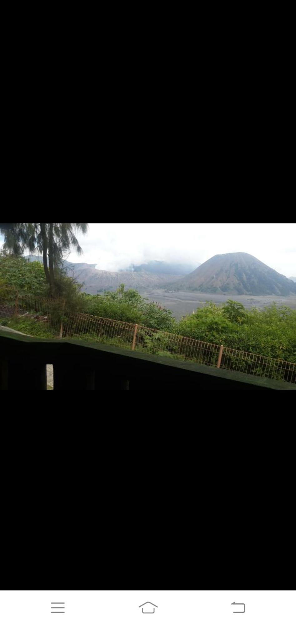 Cemara Indah Hotel Bromo Pokój zdjęcie