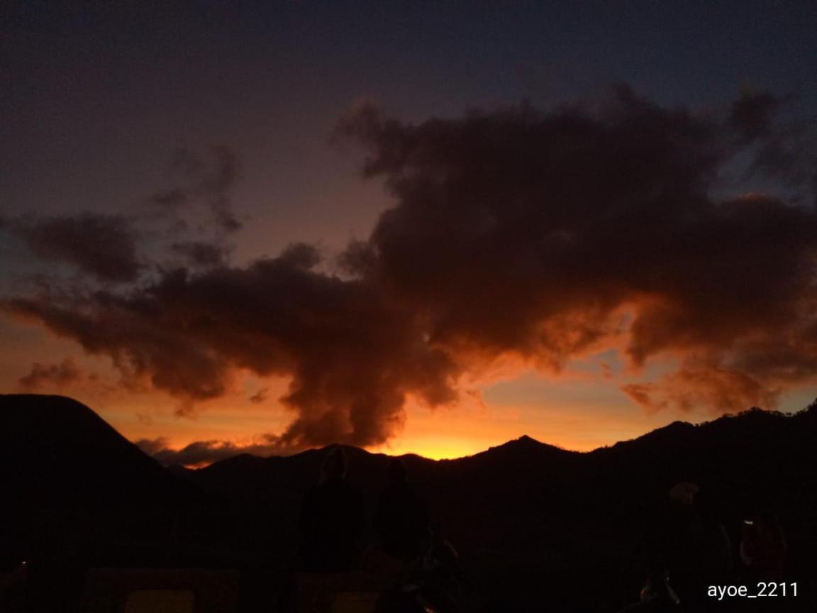 Cemara Indah Hotel Bromo Zewnętrze zdjęcie