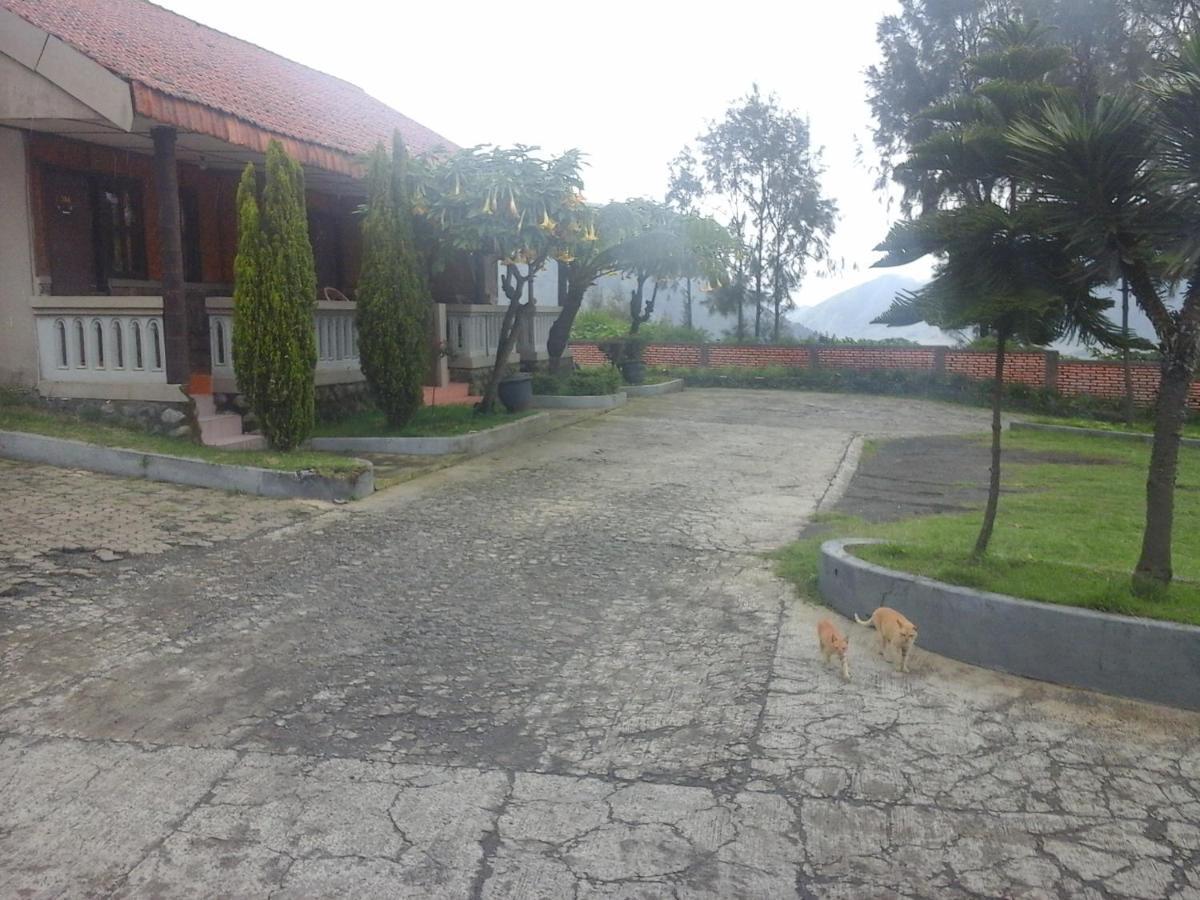 Cemara Indah Hotel Bromo Zewnętrze zdjęcie