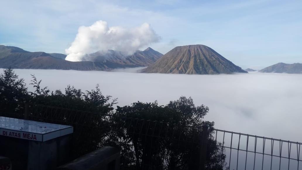 Cemara Indah Hotel Bromo Zewnętrze zdjęcie